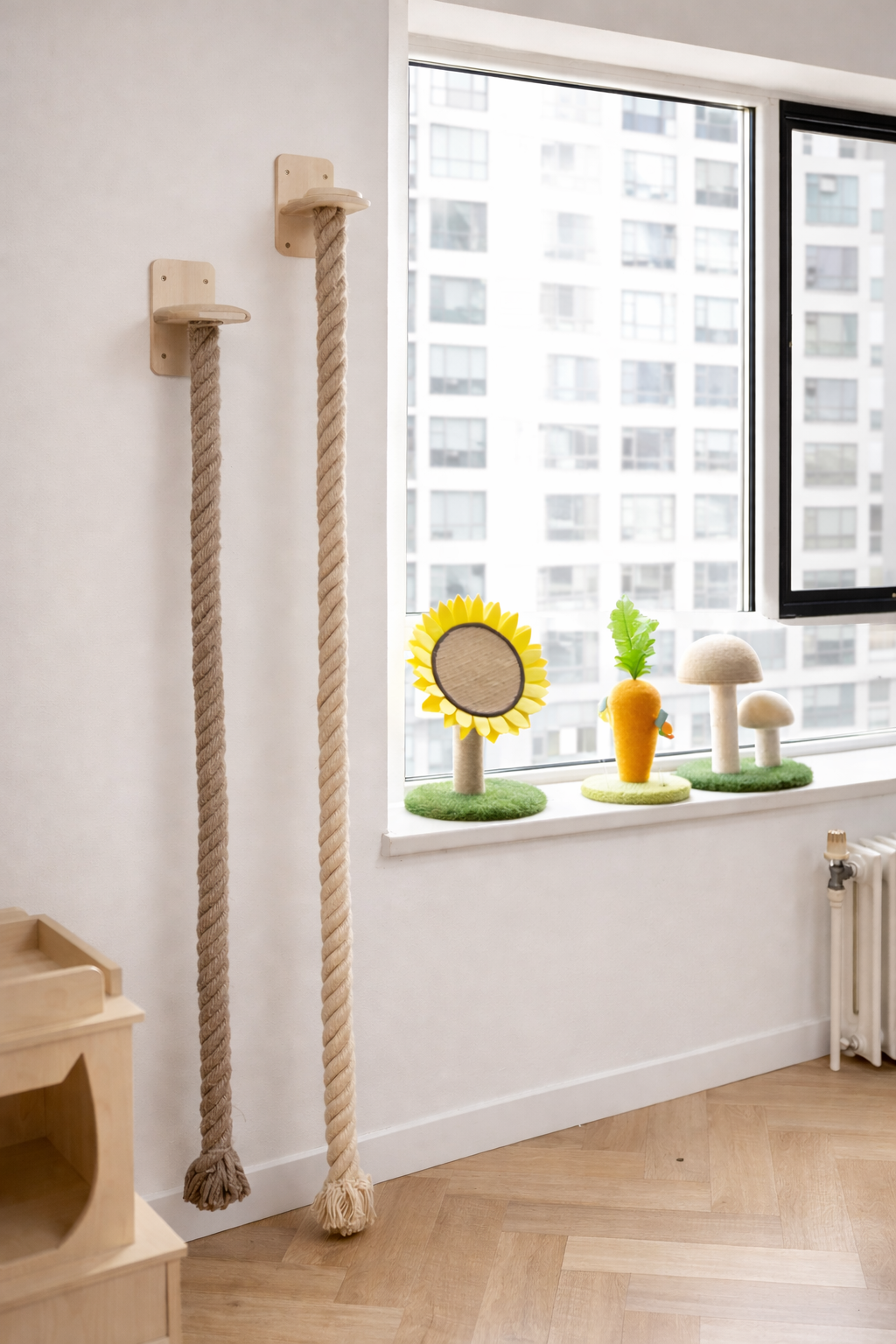 Corde à chat - Corda