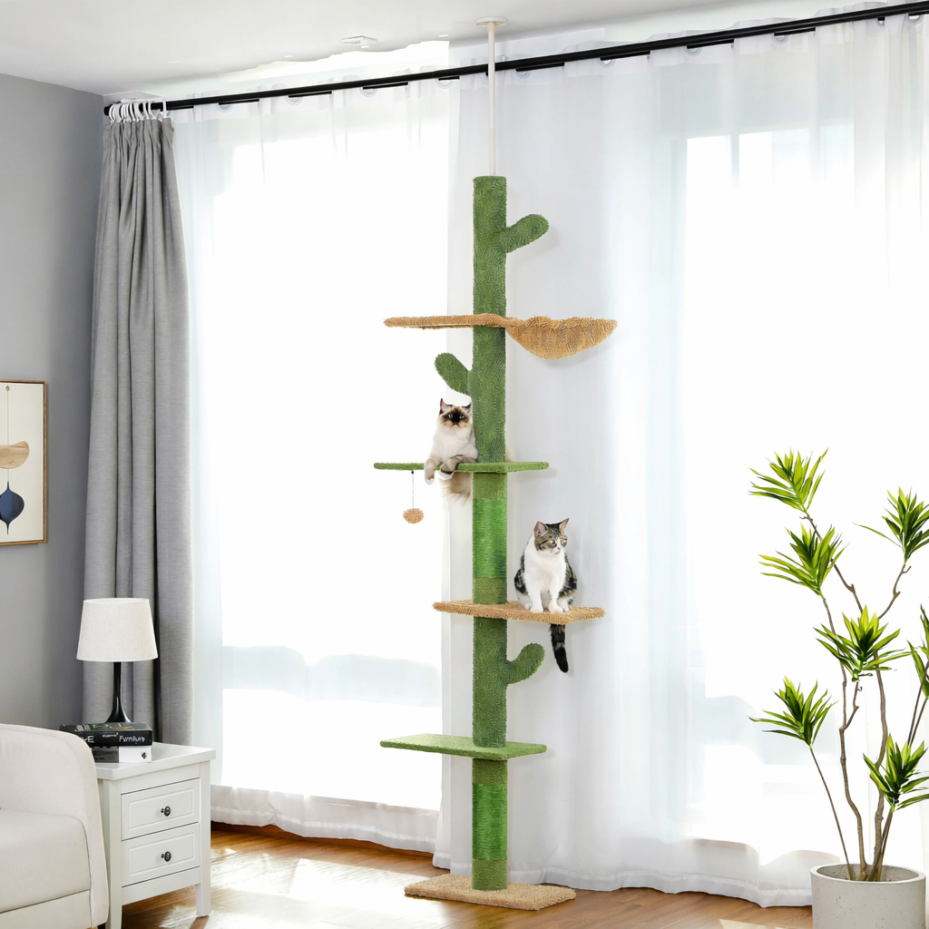 Arbre à chat - Cactara