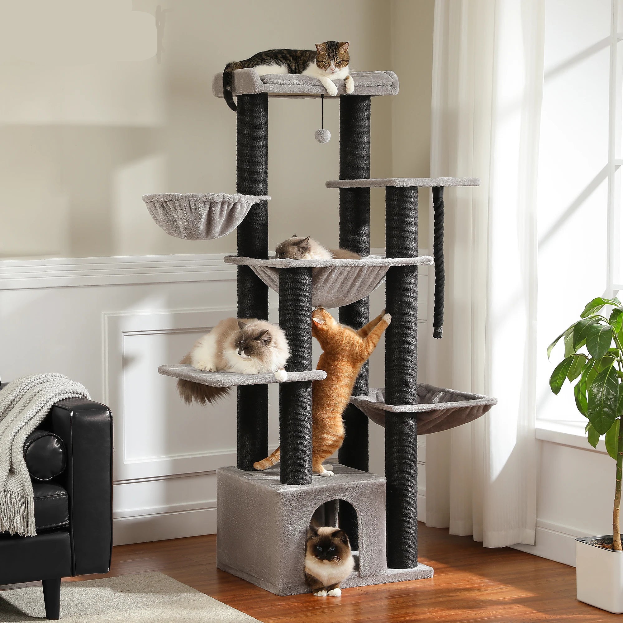 Arbre à chat - Velarya